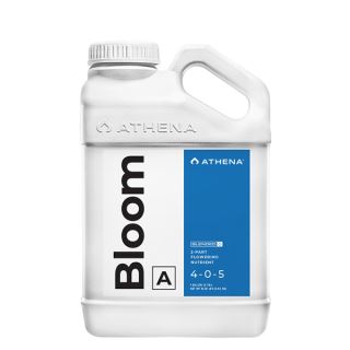 Bloom A 3.78 lt. Athena