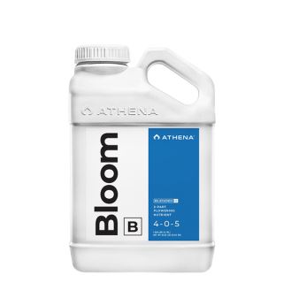 Bloom B 0.94 lt. Athena