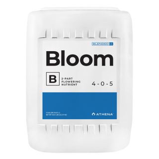 Bloom B 18.92 lt. Athena