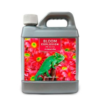 Bloom Explosion  1 lt. Kayasolutions