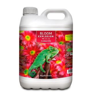 Bloom Explosion  5 lt. Kayasolutions