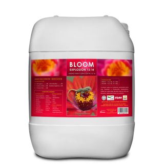 Bloom Explosion 20 lt . Kayasolutions