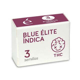 Blue Elite Indica 3 u. fem. Elite Seeds