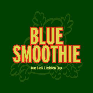 27227 - Blue Smoothie 3 u. fem  Grand Cru Genetics
