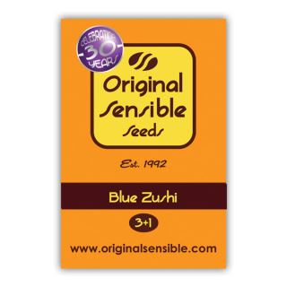 Blue Zushi  3 u. fem. Original Sensible