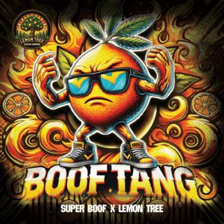 Boof Tang 3 ud. fem Elev8 Seeds