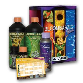 BBTA - Box Bloombastic Terra Atami B'cuzz