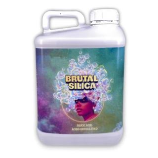 21645 - Brutal Silica 5 Lt