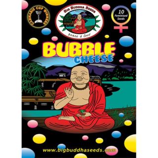 BBC5 - Bubble Cheese  5 u. fem. Big Buddha Seeds
