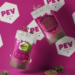 15899 - Bubble Gum - 5 u Pev Seeds