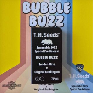 24797 - Bubblebuzz - London Haze X Original Bubblegum 7 u. fem. T.H. Seeds