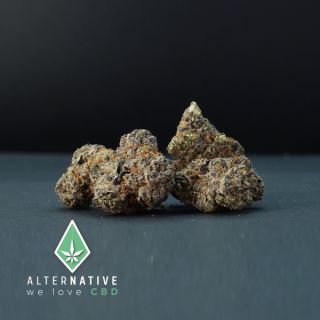 19569 - CBD Alternative Purple Haze 5 gr.