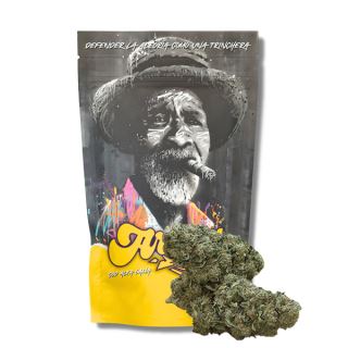 26400 - CBD Arima   Orange  20 gr.