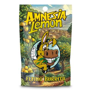 24816 - CBD Hash Flying Burrito Amnesia Lemon  10 gr.