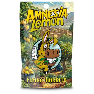 24816A - CBD Hash Flying Burrito Amnesia Lemon  25 gr.