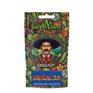 27624 - CBD Sweet Jane  Indoor Critical 2.0 - 3 gr.