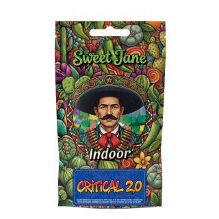 27625 - CBD Sweet Jane  Indoor Critical 2.0 - 5 gr.