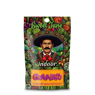 27257 - CBD Sweet Jane  Indoor Guavalato 1 gr.