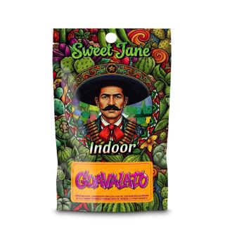 27258 - CBD Sweet Jane  Indoor Guavalato 3 gr.