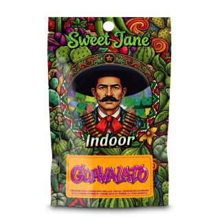 27259 - CBD Sweet Jane  Indoor Guavalato 5 gr.