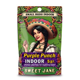 26141A - CBD Sweet Jane  Indoor Small Buds  Purple Punch  5 gr.