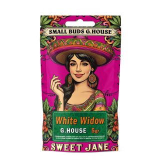 26799A - CBD Sweet Jane  Small Buds White Widow 5 gr.