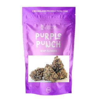 18281 - Cañamo Cbd   Purple Punch 10 gr. I Joint