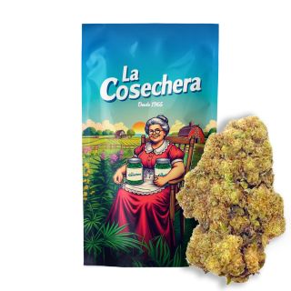 27112 - Cañamo Cbd  La Cosechera Mimosa  10 gr.