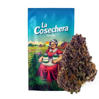 27118 - Cañamo Cbd  La Cosechera Purple Haze 10 gr.