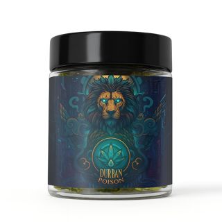 25441 - Cañamo Cbd Arkano Durban Poison Premium 5 gr.