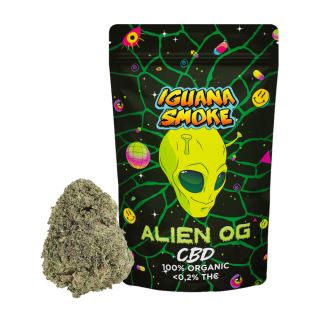 23170 - Cañamo Cbd Iguana Smoke   Alien Og  5 gr.