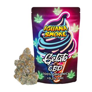 23171 - Cañamo Cbd Iguana Smoke   Gelato  5 gr.