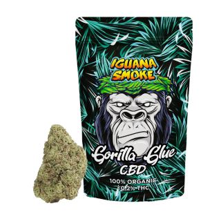 23179 - Cañamo Cbd Iguana Smoke   Gorilla Glue 10 gr.