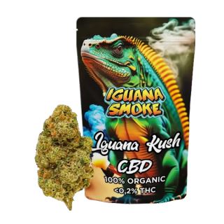 23186 - Cañamo Cbd Iguana Smoke   Iguana Kush  3 gr.