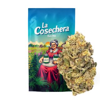 27120 - Cañamo Cbd La Cosechera Cheesecake 10 gr.