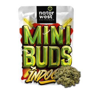 23657A - Cañamo Cbd Naturwest  Mini Buds Indoor Orange Sherbet 20 gr.