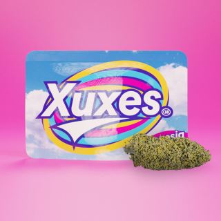 18977 - Cañamo Cbd Xuxes Amnesia 3 gr.