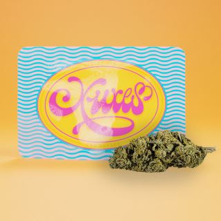 Cañamo Cbd Xuxes Gelato 3 gr.