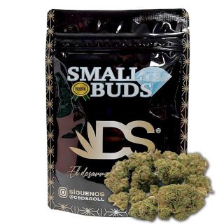 26716 - Cañamo Cbdsroll Small Buds Indoor Orange Sherbet 10 gr.