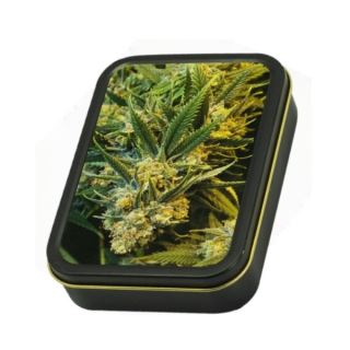 2608 - Caja Metal Rectangular Buds 8x11 cm.