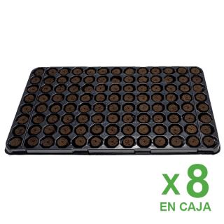 11770 - Caja de bandejas Plugin Pro Xtract 21 mm. 104 Alveolos (8 Bandejas)