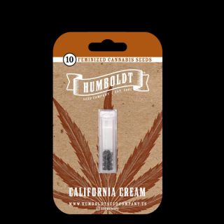 24866 - California Cream 3 u. fem Humbold Seeds Company