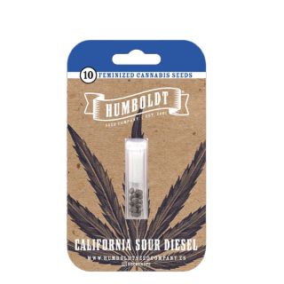 24872 - California Sour Diesel 3 u. fem Humbold Seeds Company