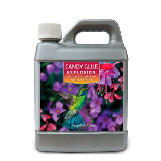 Candy Glue Explosion 1 lt. Kayasolutions