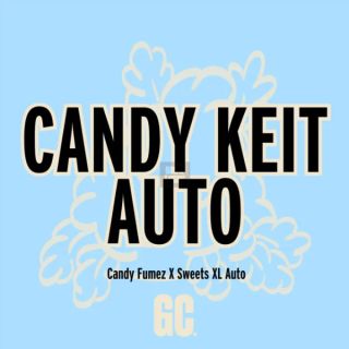 26381 - Candy Keit Auto  5 u.  Grand Cru Genetics