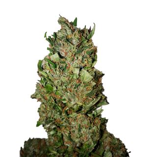 Cannatonic (0,4/12)   1 u. fem. CBD+ Buds