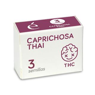 Caprichosa Thai 3 u. fem. Elite Seeds