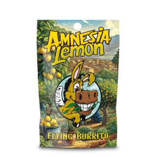 24638 - Cbd  Hash Flying Burrito Amnesia Lemon  5 gr.