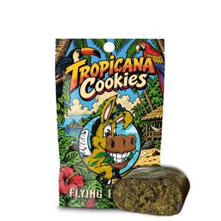 27664 - Cbd  Hash Flying Burrito Tropicana Cookies  2 gr.