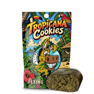 27665 - Cbd  Hash Flying Burrito Tropicana Cookies  5 gr.